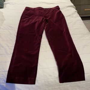 A.L.C. Velvet burgundy pant.